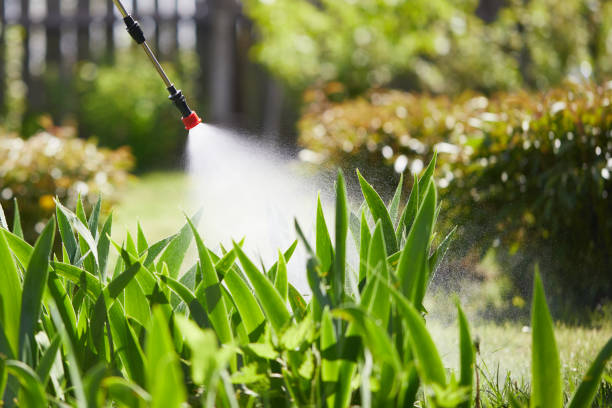 24/7 Emergency Fumigation Services experts in Lincoln, NE