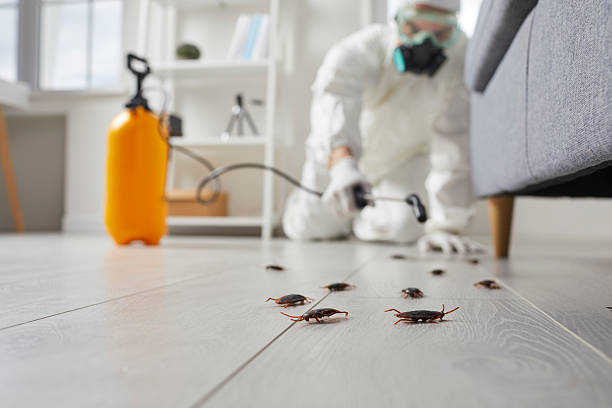 Trusted Fumigation Services service in Lincoln, NE - Nex Pest Control