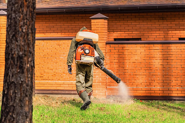 Trusted Ant Control service in Lincoln, NE - Nex Pest Control